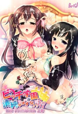 Bitch Gakuen ga Seijun na Hazu ga Nai!!? The Animation